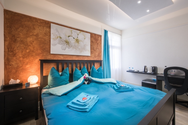 Hotel Max Aviation Villa (Bern)